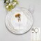6 Round 13" White Rustic Wooden Plastic Charger Plates Rose Embossed Rim Party